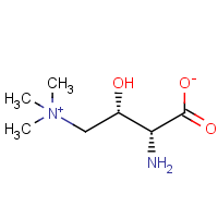 (R)-Aminocarnitine