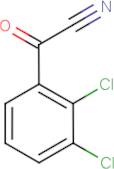 (2,3-Dichlorophenyl)(oxo)acetonitrile