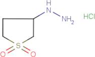 3-Hydrazinotetrahydrothiophene-1-dioxide hydrochloride