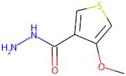 4-Methoxythiophene-3-carbohydrazide