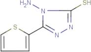 4-Amino-5-(thien-2-yl)-4H-1,2,4-triazole-3-thiol