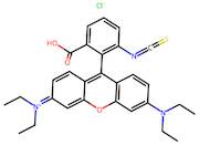 Rhodamine B isothiocyanate