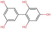 [1,1’-Biphenyl]-2,3’,4,5’,6-Pentaol