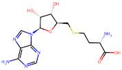 S-Adenosylhomocysteine