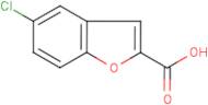 5-Chlorobenzo[b]furan-2-carboxylic acid