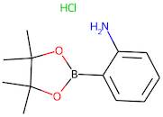 2-Aminobenzeneboronic acid, pinacol ester hydrochloride