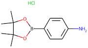 4-Aminobenzeneboronic acid, pinacol ester hydrochloride