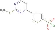 4-[2-(Methylthio)pyrimidin-4-yl]thiophene-2-sulphonyl chloride