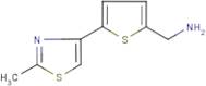 [5-(2-Methyl-1,3-thiazol-4-yl)thien-2-yl]methylamine