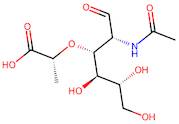 N-Acetylmuramic acid