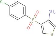 3-Amino-4-[(4-chlorophenyl)sulphonyl]thiophene