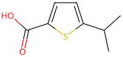 5-(Propan-2-yl)thiophene-2-carboxylic acid