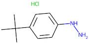 4-(tert-Butyl)phenylhydrazine hydrochloride