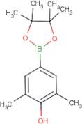 3,5-Dimethyl-4-hydroxybenzeneboronic acid, pinacol ester