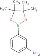 3-Aminobenzeneboronic acid, pinacol ester