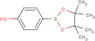 4-Hydroxybenzeneboronic acid, pinacol ester