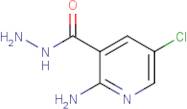 2-Amino-5-chloronicotinohydrazide