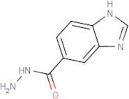 1H-Benzimidazole-5-carbohydrazide