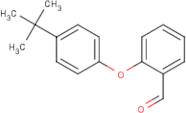 2-(4-tert-Butylphenoxy)benzaldehyde