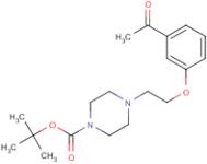 3-[2-(4-tert-Butoxycarbonylpiperazin-1-yl)ethoxy]acetophenone