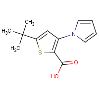 5-tert-Butyl-3-(1H-pyrrol-1-yl)thiophene-2-carboxylic acid