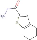 4,5,6,7-Tetrahydro-1-benzothiophene-2-carbohydrazide