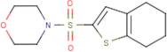 4-(4,5,6,7-Tetrahydro-1-benzothien-2-ylsulfonyl)morpholine