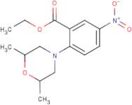 Ethyl 2-(2,6-dimethylmorpholin-4-yl)-5-nitrobenzoate