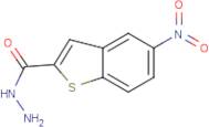 5-Nitro-1-benzothiophene-2-carbohydrazide