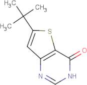 6-tert-Butyl-3H-thieno[3,2-d]pyrimidin-4-one