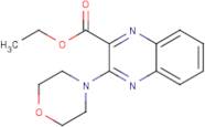 Ethyl 3-morpholin-4-ylquinoxaline-2-carboxylate