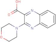 3-Morpholin-4-ylquinoxaline-2-carboxylic acid