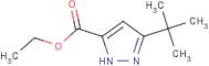 Ethyl 3-tert-butyl-1H-pyrazole-5-carboxylate