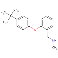 N-[2-(4-tert-Butylphenoxy)benzyl]-N-methylamine