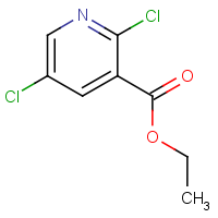 Ethyl 2,5-dichloronicotinate