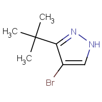 4-Bromo-3-tert-butyl-1H-pyrazole