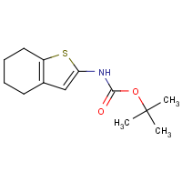 tert-Butyl 4,5,6,7-tetrahydro-1-benzothien-2-ylcarbamate