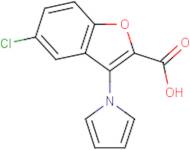 5-Chloro-3-(1H-pyrrol-1-yl)-1-benzofuran-2-carboxylic acid