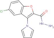 5-Chloro-3-(1H-pyrrol-1-yl)-1-benzofuran-2-carbohydrazide