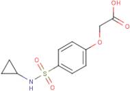 {4-[(Cyclopropylamino)sulfonyl]phenoxy}acetic acid