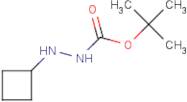 tert-Butyl 2-cyclobutylhydrazinecarboxylate