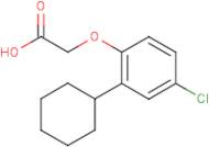 (4-Chloro-2-cyclohexylphenoxy)acetic acid