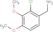 2-Chloro-3,4-dimethoxy-benzenemethanamine