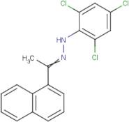 1-(1-Naphthyl)ethanone (2,4,6-trichlorophenyl)hydrazone