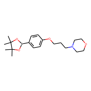 4-(3-Morpholin-4-ylpropoxy)benzeneboronic acid, pinacol ester