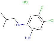 4,5-Dichloro-2-(isobutylamino)aniline hydrochloride