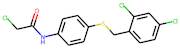 2-Chloro-N-{4-[(2,4-dichlorobenzyl)thio]phenyl}acetamide