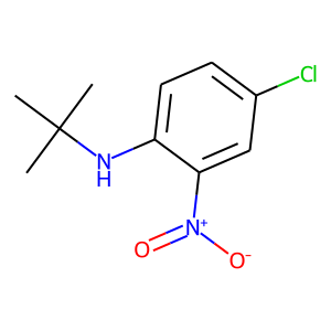 N-tert-Butyl-4-chloro-2-nitroaniline