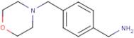 {4-[(Morpholin-4-yl)methyl]phenyl}methylamine