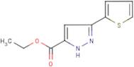 Ethyl 3-(thien-2-yl)-1H-pyrazole-5-carboxylate